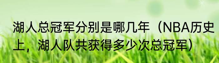 湖人总冠军分别是哪几年（NBA历史上，湖人队共获得多少次总冠军）