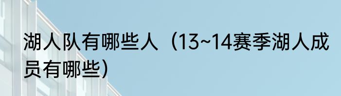 湖人队有哪些人（13~14赛季湖人成员有哪些）