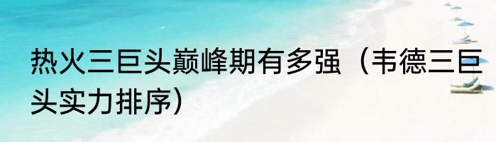 热火三巨头巅峰期有多强（韦德三巨头实力排序）