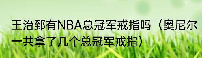 王治郅有NBA总冠军戒指吗（奥尼尔一共拿了几个总冠军戒指）