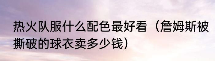 热火队服什么配色最好看（詹姆斯被撕破的球衣卖多少钱）