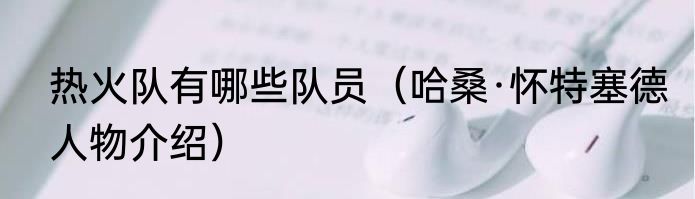 热火队有哪些队员（哈桑·怀特塞德人物介绍）