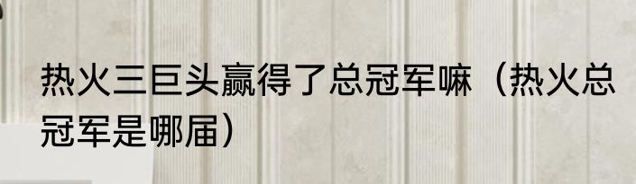 热火三巨头赢得了总冠军嘛（热火总冠军是哪届）