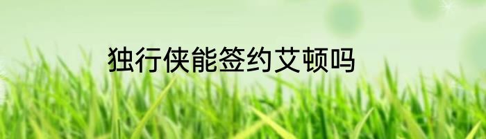 独行侠能签约艾顿吗