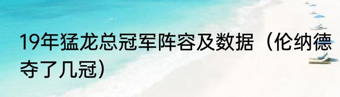 19年猛龙总冠军阵容及数据（伦纳德夺了几冠）