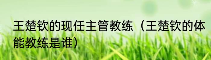 王楚钦的现任主管教练（王楚钦的体能教练是谁）