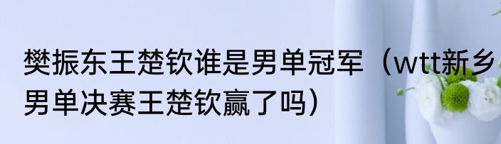 樊振东王楚钦谁是男单冠军（wtt新乡男单决赛王楚钦赢了吗）