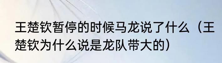 王楚钦暂停的时候马龙说了什么（王楚钦为什么说是龙队带大的）