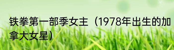 铁拳第一部季女主（1978年出生的加拿大女星）