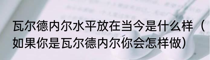 瓦尔德内尔水平放在当今是什么样（如果你是瓦尔德内尔你会怎样做）