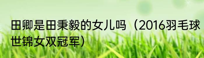 田卿是田秉毅的女儿吗（2016羽毛球世锦女双冠军）