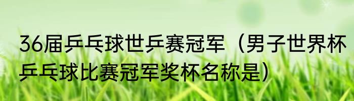 36届乒乓球世乒赛冠军（男子世界杯乒乓球比赛冠军奖杯名称是）