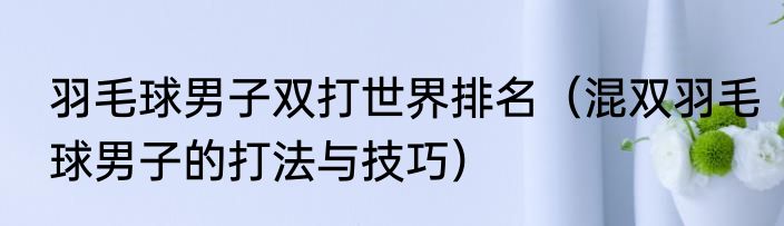 羽毛球男子双打世界排名（混双羽毛球男子的打法与技巧）