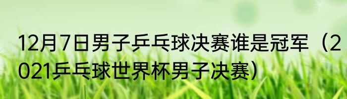 12月7日男子乒乓球决赛谁是冠军（2021乒乓球世界杯男子决赛）