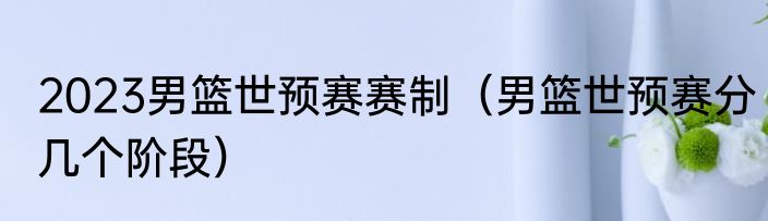 2023男篮世预赛赛制（男篮世预赛分几个阶段）