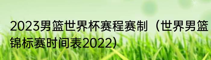2023男篮世界杯赛程赛制（世界男篮锦标赛时间表2022）