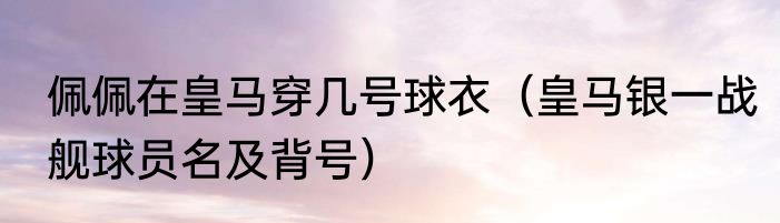 佩佩在皇马穿几号球衣（皇马银一战舰球员名及背号）