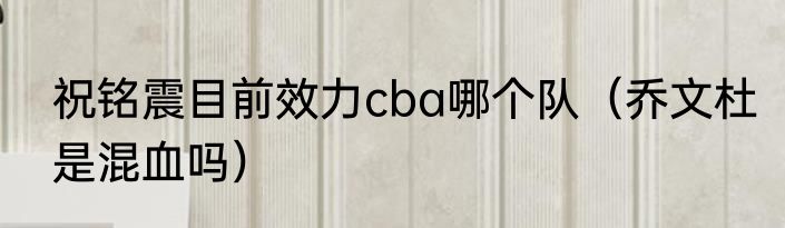祝铭震目前效力cba哪个队（乔文杜是混血吗）
