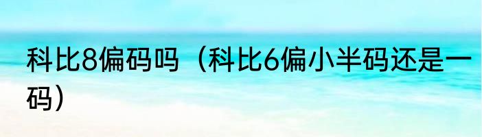 科比8偏码吗（科比6偏小半码还是一码）