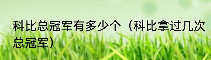 科比总冠军有多少个（科比拿过几次总冠军）