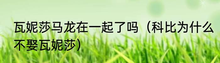 瓦妮莎马龙在一起了吗（科比为什么不娶瓦妮莎）