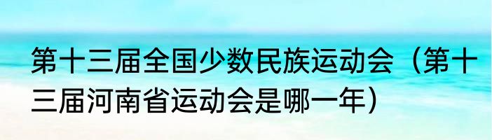 第十三届全国少数民族运动会（第十三届河南省运动会是哪一年）