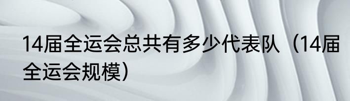 14届全运会总共有多少代表队（14届全运会规模）