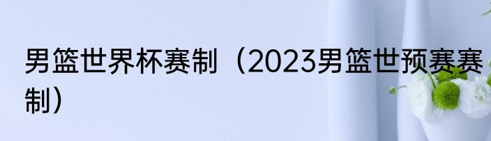 男篮世界杯赛制（2023男篮世预赛赛制）