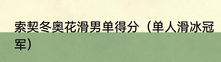 索契冬奥花滑男单得分（单人滑冰冠军）