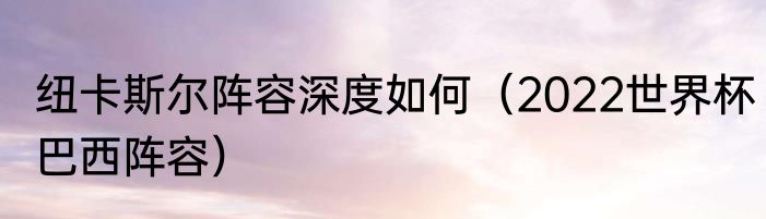 纽卡斯尔阵容深度如何（2022世界杯巴西阵容）