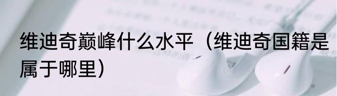 维迪奇巅峰什么水平（维迪奇国籍是属于哪里）