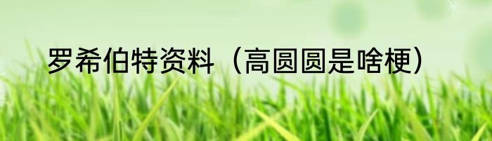 罗希伯特资料（高圆圆是啥梗）