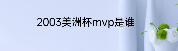2003美洲杯mvp是谁