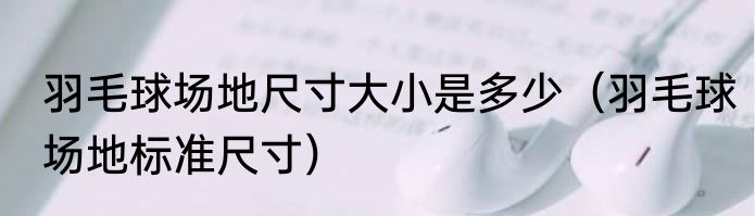 羽毛球场地尺寸大小是多少（羽毛球场地标准尺寸）
