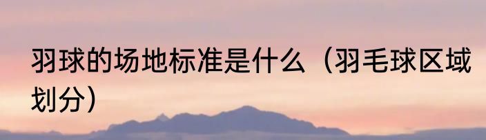 羽球的场地标准是什么（羽毛球区域划分）