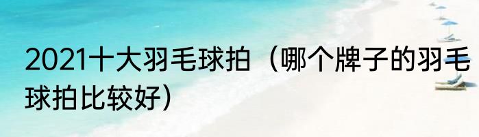 2021十大羽毛球拍（哪个牌子的羽毛球拍比较好）