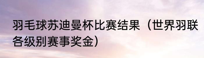 羽毛球苏迪曼杯比赛结果（世界羽联各级别赛事奖金）