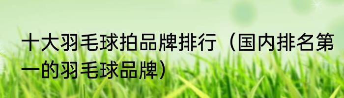 十大羽毛球拍品牌排行（国内排名第一的羽毛球品牌）