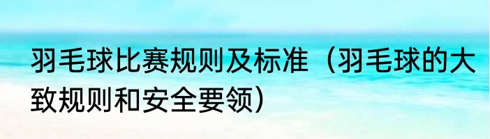 羽毛球比赛规则及标准（羽毛球的大致规则和安全要领）