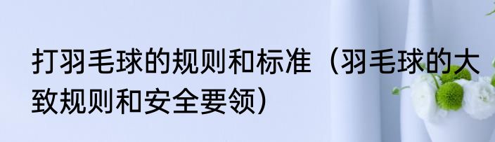 打羽毛球的规则和标准（羽毛球的大致规则和安全要领）