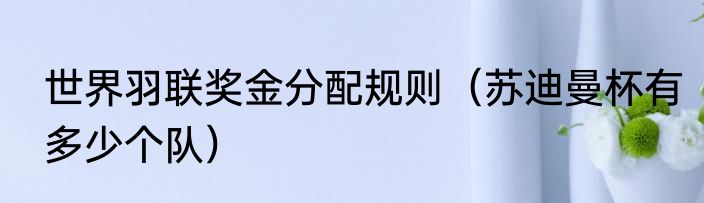 世界羽联奖金分配规则（苏迪曼杯有多少个队）
