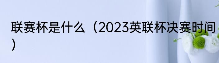 联赛杯是什么（2023英联杯决赛时间）