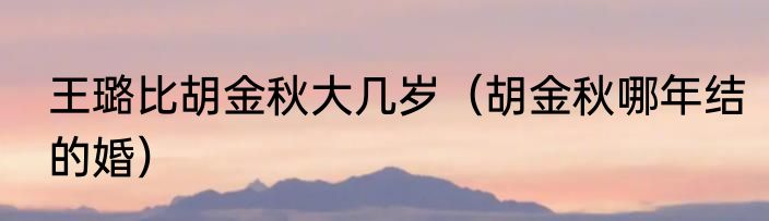 王璐比胡金秋大几岁（胡金秋哪年结的婚）