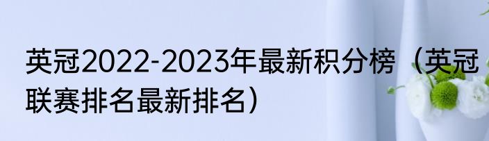 英冠2022-2023年最新积分榜（英冠联赛排名最新排名）