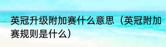 英冠升级附加赛什么意思（英冠附加赛规则是什么）