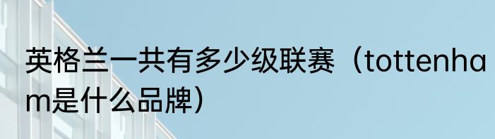 英格兰一共有多少级联赛（tottenham是什么品牌）