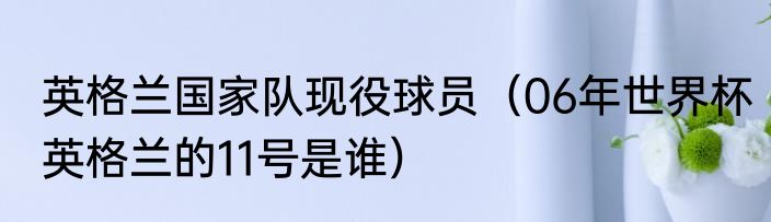 英格兰国家队现役球员（06年世界杯英格兰的11号是谁）