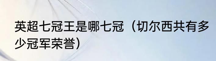 英超七冠王是哪七冠（切尔西共有多少冠军荣誉）