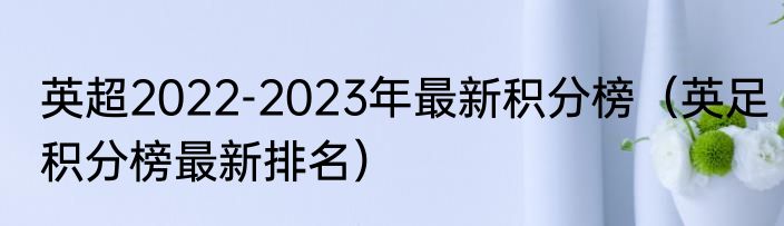 英超2022-2023年最新积分榜（英足积分榜最新排名）