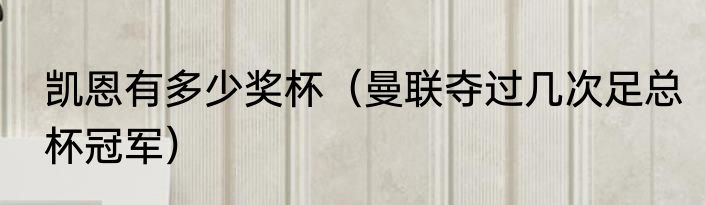 凯恩有多少奖杯（曼联夺过几次足总杯冠军）